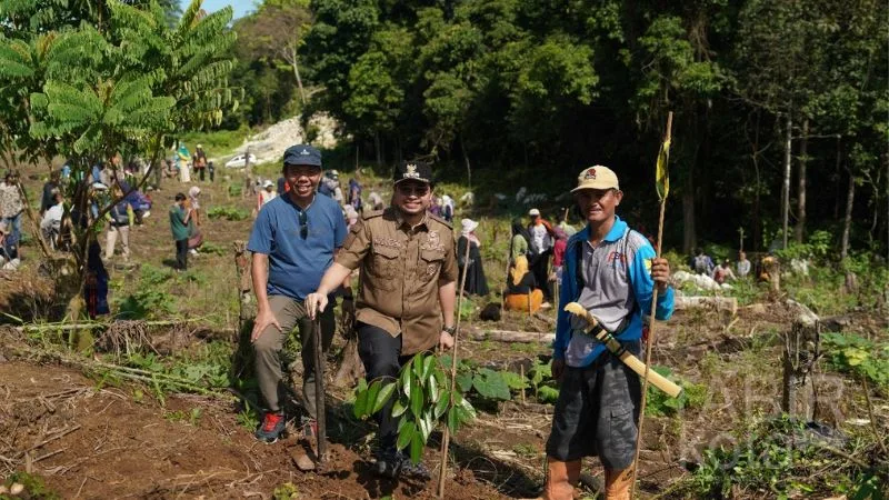 Syukuran Kenaikan Pangkat, Bupati HST Bersama 191 ASN Tanam Bibit Durian
