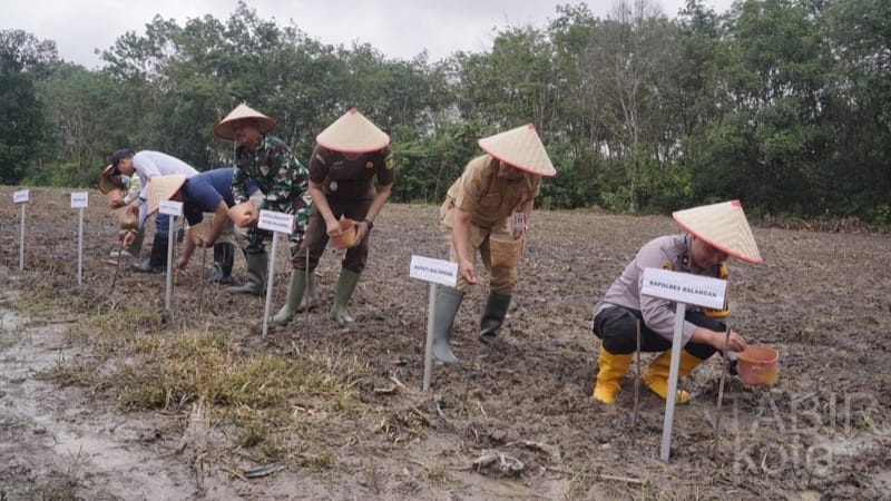 Dukung Program Ketahanan Pangan Nasional, Pemkab dan Polres Balangan Tanam Jagung Satu Juta Hektar