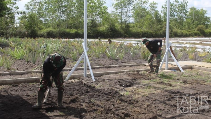 Satgas TMMD Kodim 1012/Buntok Gelar Pembersihan Lahan Pertanian