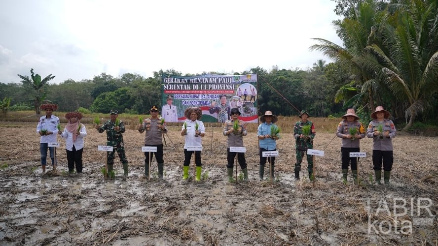 Dukung Ketahanan Pangan Nasional, Bupati Balangan Ikuti Gerakan Tanam Padi Serentak