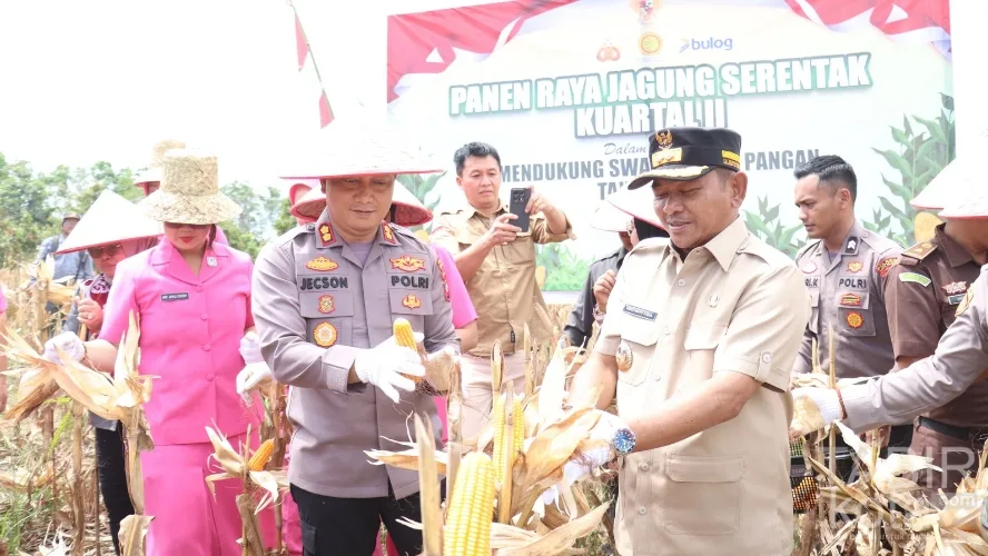 Dukung Ketahanan Pangan, Kapolres Barsel Hadiri Panen Raya Jagung di Ngurit