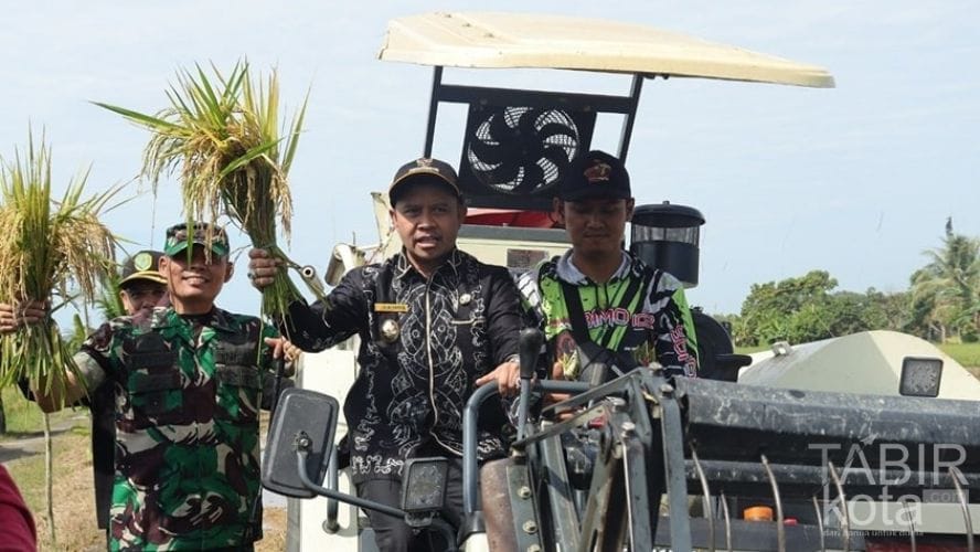 Tingkatkan Ketahanan Pangan Daerah, Bupati Tapin Panen Raya Padi Serentak di Tapin Selatan