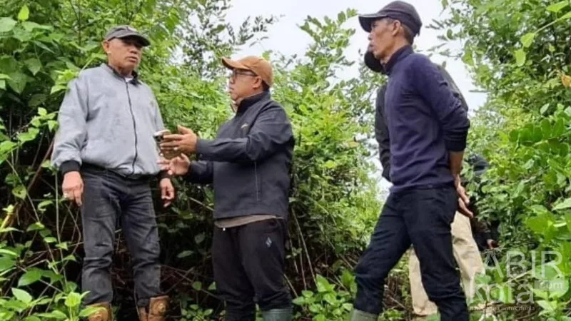 Bupati Kotabaru Tinjau Rencana Pembangunan Cluster Budidaya Udang di Sungai Limau