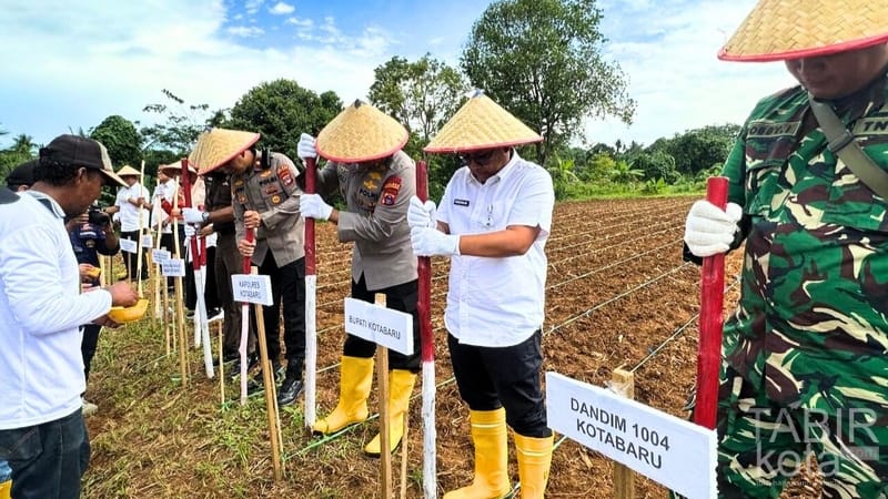 Dukung Ketahanan Pangan Nasional, Polres Kotabaru Gelar Penanaman Jagung Serentak Kuartal III