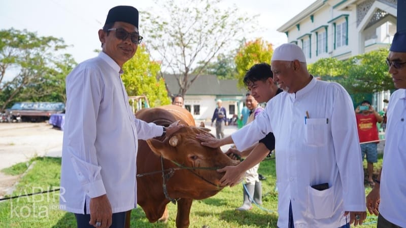 Idul Adha 1446 H, Wabup Balangan Serahkan Sapi Limousin Bantuan Presiden