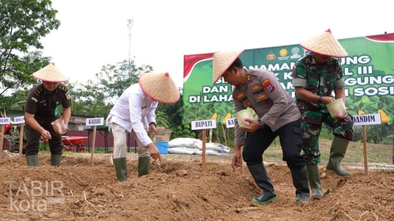Dukung Ketahanan Pangan, Bupati Balangan Ikuti Tanam Jagung Serentak Kuartal III