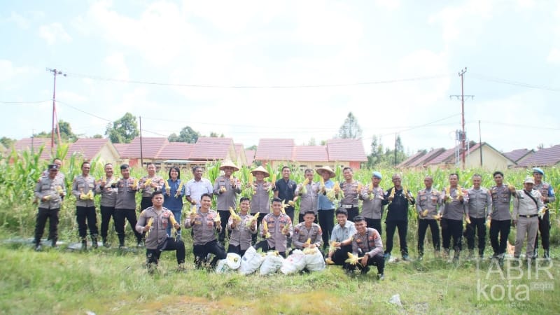 Dukung Asta Cita Presiden, Polres Barsel Panen 500 Kg Jagung