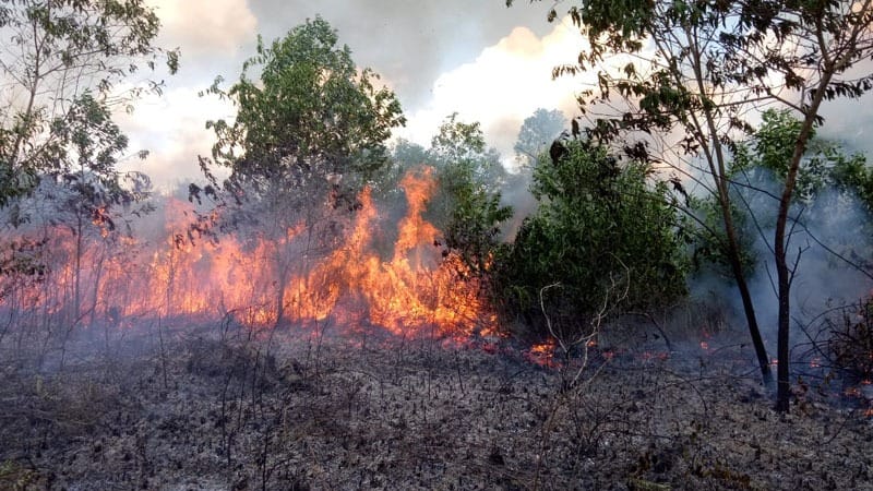23.25 Hectares of Land in Three HSS Districts Affected by Forest and Land Fires