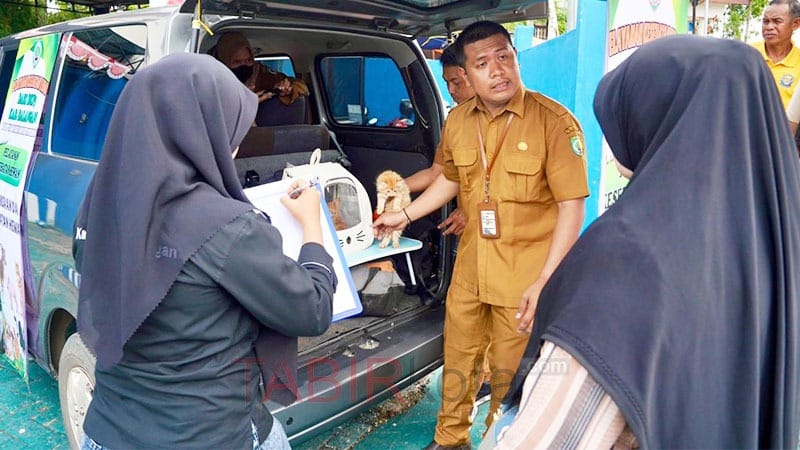 Cegah Penyakit Menular dan Tingkatkan Produktivitas Ternak, Pemkab Balangan Buka Layanan Kesehatan Hewan