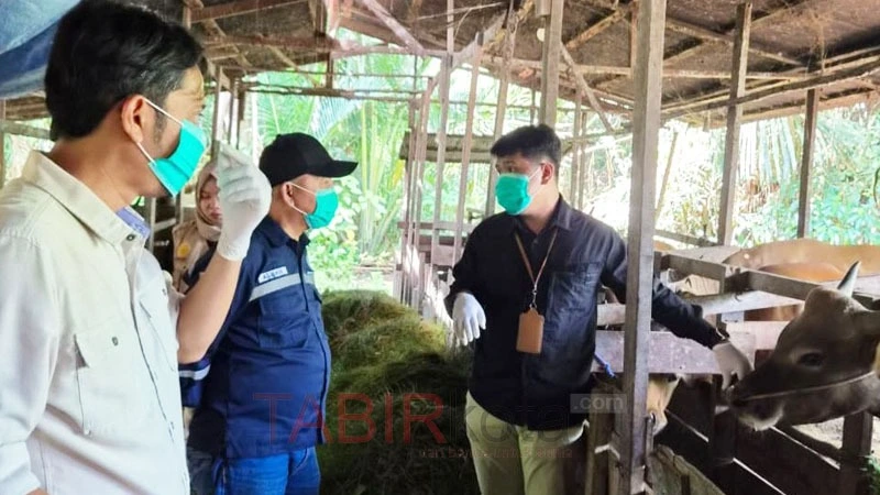 Jelang Iduladha, Pemkab Balangan Periksa Kesehatan Hewan untuk Pastikan Daging Kurban ASUH