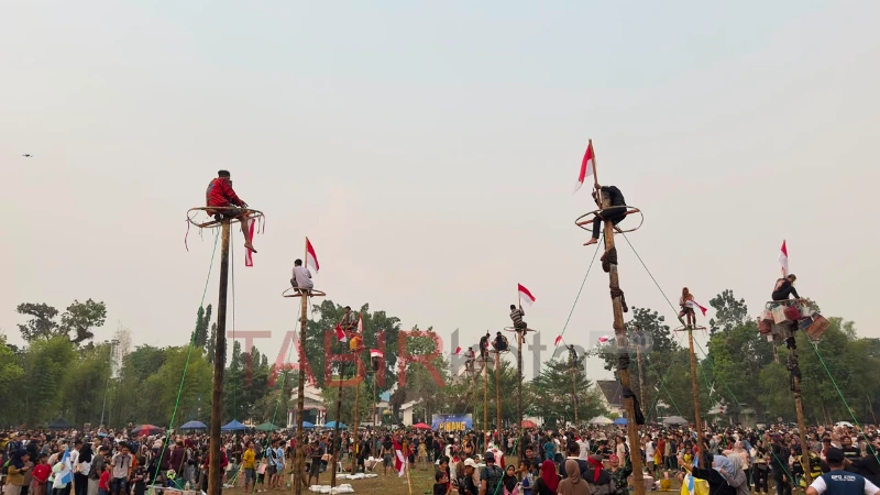 Heboh! Panjat Pinang KNPI HST Jadi Daya Tarik Ribuan Warga