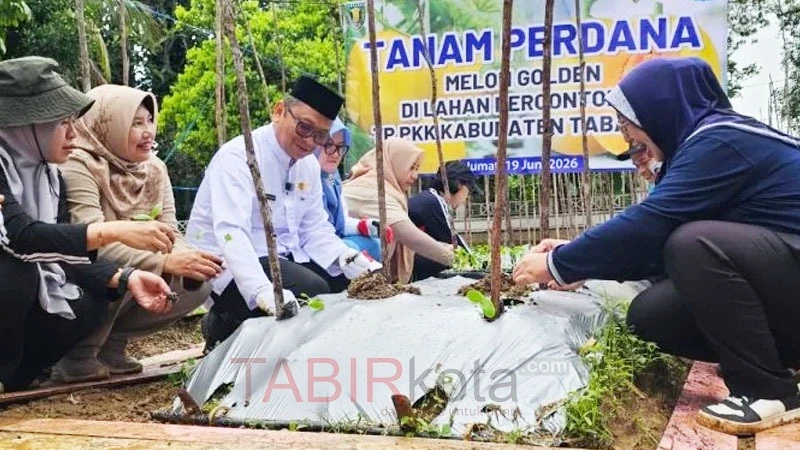 Tanam Perdana di Kebun Percontohan TP PKK, Bupati Tabalong Ajak Manfaatkan Lahan Pekarangan